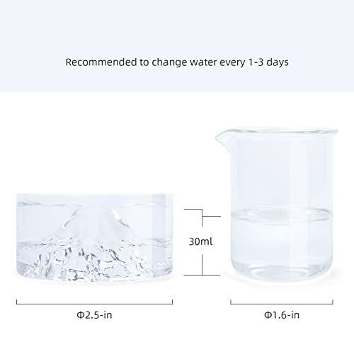 Niteangel Hamster Feeding & Water Bowl- 50ml Capacity & No Wet Fur for Pet | Chew Proof - Mount Fuji Series Glass Drinking Bowls for Dwarf Syrian Hamsters Gerbils Mice Rats or Other Similar-Sized Pets