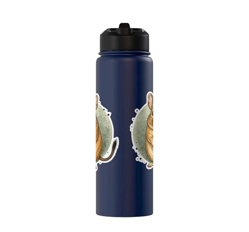 Degu Watercolor Circle Stainless Steel Insulated Water Bottle - color: Navy Blue