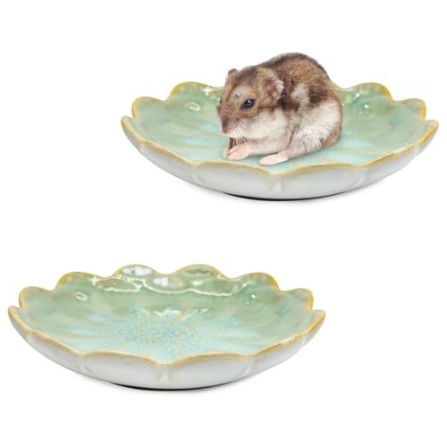 BNOSDM Shallow Ceramic Hamster Food Dish 2 Pcs Small Animals Food Bowl Sunflower Feeding Dishes for Gerbils Mice Rats 4.5in (Green) - color: Green Sunflower