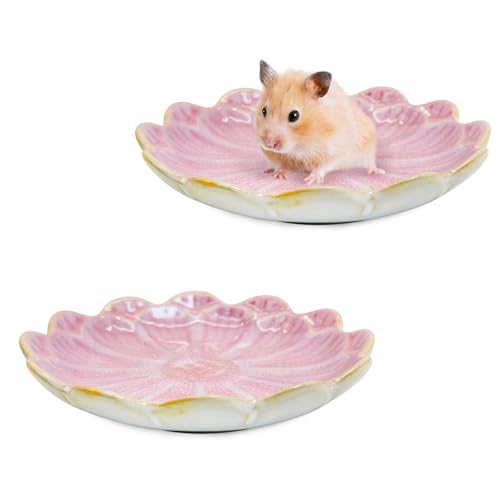 BNOSDM Shallow Ceramic Hamster Food Dish 2 Pcs Small Animals Food Bowl Sunflower Feeding Dishes for Gerbils Mice Rats 4.5in (Pink) - color: Pink Sunflower