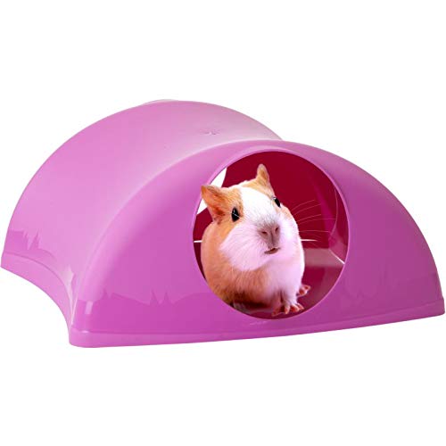 Lixit® Critter Hollow Igloo Hidaway Home for Guinea Pigs, Chinchillas, Rats and Other Small Animals (Pink, 1 Pack) - size: 1 Pack
