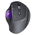 ProtoArc EM01 NL Wireless Trackball Mouse, Thumb Control, Purple | 0/20° Adjustable Angle to Reduce Fatigue, Triple-Device Bluetooth & 2.4G USB-A for Office Use, Silent Click, Easy to Clean - color: Purple Ball