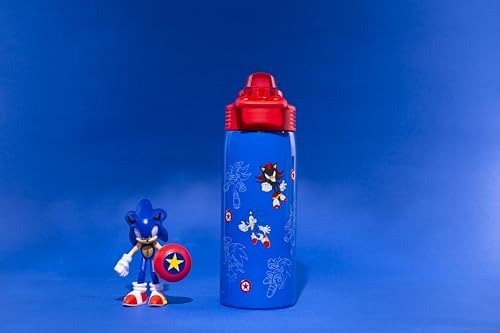 Zak Designs Sonic the Hedgehog Sage 19oz Leak-Proof Straw Kids Water Bottle | BPA Free, Insulated Stainless Steel, Cupholder Friendly, Dishwasher Safe, Lid Lock, Handle, For School, Home, Travel, Outdoor - color: Sonic the Hedgehog (Sage)
