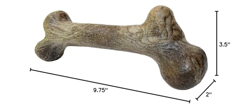Pet Qwerks Dinosaur BarkBone - Nylon Dog Bone for Aggressive Chewers - Bacon Flavor - 9.75" - size: Large