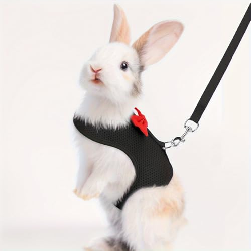 One Set of Solid Color Fashion Rabbit Harness for Outing and Rabbit Leash to Prevent Loss-M
