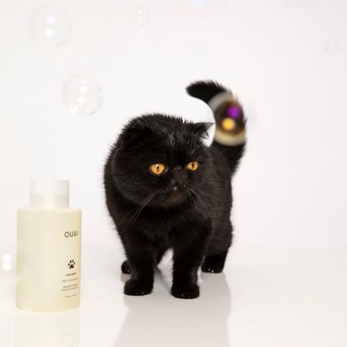 OUAI Fur Bébé Pet Shampoo - Mercer Street Scent (16 Fl oz) | Cat & Dog Shampoo for Gentle Cleansing, Hydration & Shine - Vegan & Cruelty-Free Pet Supplies with Aloe Vera & Panthenol