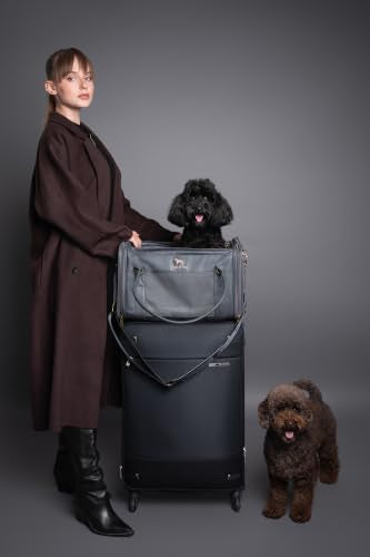 Noah & Paw Cat Carrier Soft Dog Carrier for Small Dogs, TSA Airline Approved 18x11x11in Cat Crate, Pet Travel Crate, Small Pet Kennel, Mattress Included, Charcoal Faux Leather - color: Charcoal (Faux Leather)