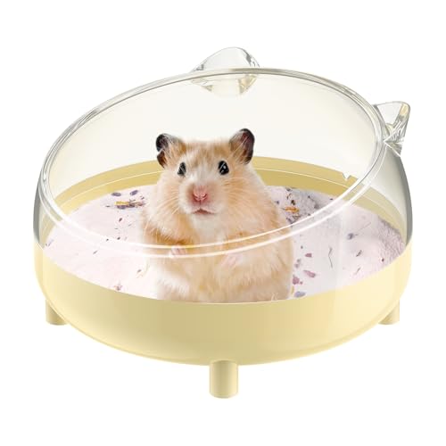 Pawfly Hamster Sand Bath Container, Hamster Sand Bath Box, Hamster Bathtub, Hamster Bathroom, Hamster Toilet, Plastic Dust Bath for Dwarf Hamsters, Syrian Hamsters, Mice, Gerbils & Small Animals - color: Apricot