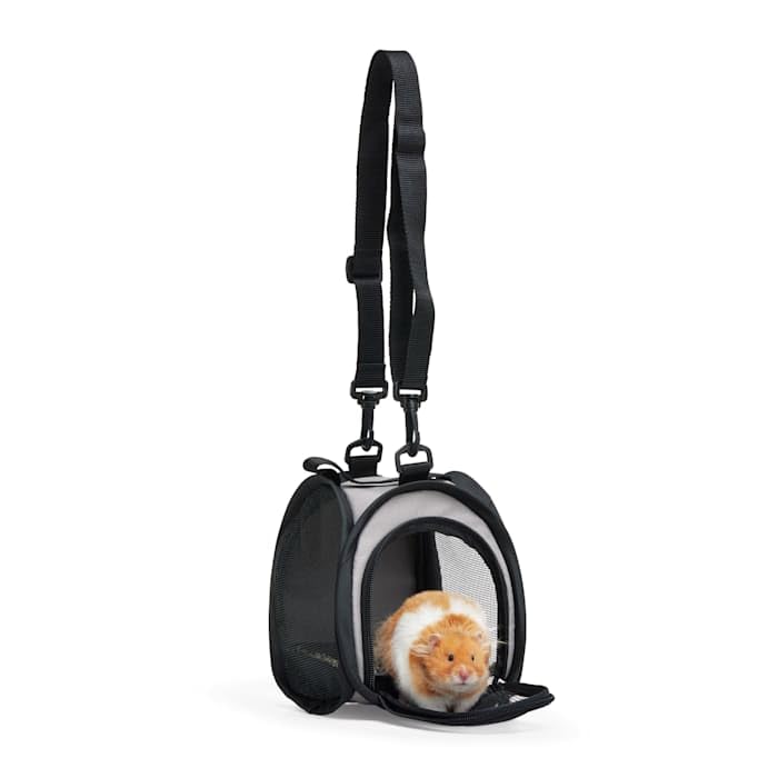EveryYay by Petco Small Animal Pet Carrier, Small