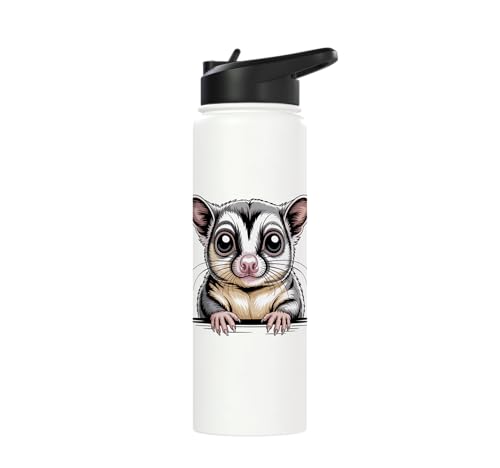 Sugar Glider Cute Peeking Marsupial Funny Animals Stainless Steel Insulated Water Bottle - color: White