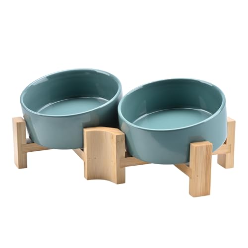 SPUNKYJUNKY 15° Slanted Ceramic Dog and Cat Bowl with Wooden Stand, Tilted Bulldog Food and Water Bowl No Slip Non-Spill for Cats Medium Dogs Big Face Pets 13.5 OZ (1.7 Cups, Light Green × 2) - color: Light Green, size: 1.7 CUPS × 2
