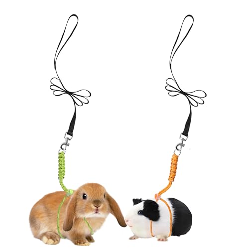 Handmade Figure 8 Harness and Leash for Ferrets/Guinea Pigs/Rats | Adjustable, Lightweight & Safe | Fits Small Animals: Bunnies/Bearded Dragons/Chinchillas/Reptiles/Birds/Squirrels/Rabbits - color: Green+Orange