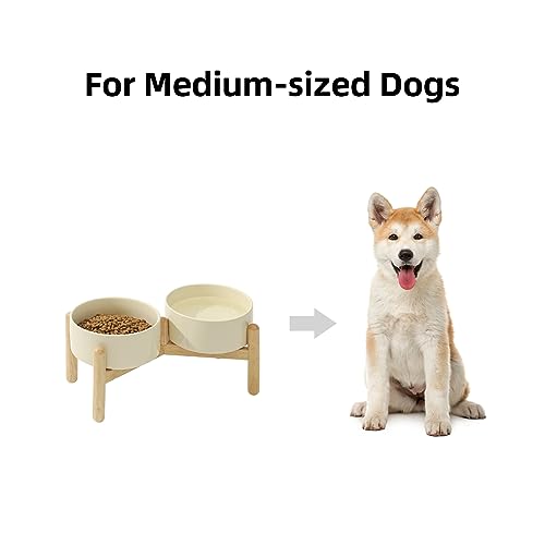 Havniva Elevated Dog Bowls Ceramic Dog Bowls with Stand, Dog Food Bowl | 6.1” Raised Dog Bowls with Non-Slip Wood Stand, Dog Food and Water Bowl Set, Double Dog Feeding Bowls for Small & Medium Dogs - color: 2 Bowls+Stand - Light Yellow, size: 6.1inch