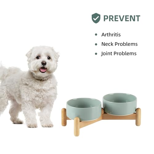 Havniva Elevated Dog Bowls Ceramic Dog Bowls with Stand, Dog Food Bowl | 5.1” Raised Dog Bowls with Non-Slip Wood Stand, Dog Food and Water Bowl Set, Double Dog Feeding Bowls for Small Dogs - color: 2 Bowls+Stand - Light Green, size: 5.1inch