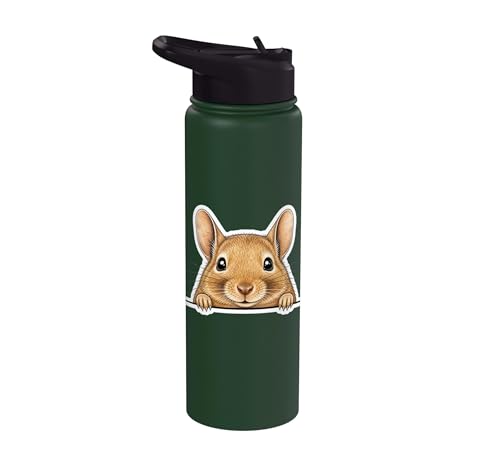 Peeking Degu Stainless Steel Insulated Water Bottle - color: Dark Green