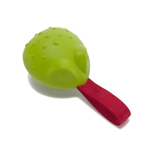 BarkBox Tug Tied Toad Dog Toy | for Tough Chewers - Durable Rubber Design, Perfect for Tug-of-War - color: Tug Tied Toad-Large