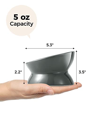 LoeJan Elevated Cat Food Bowl, 5 Oz Ceramic Raised and Tilted Water Bowl, Anti Vomiting and Protect Pets' Spines Dishes for Small Dog, Fat Faced Cat, Kitten (Gray, 1 Pack) - color: Gray