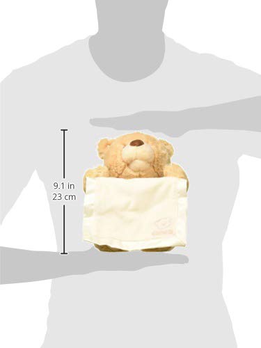 GUND Baby Peek-a-Boo Teddy Bear 11.5-Inch Interactive Musical Baby Plush | Talking Bear with Movements, Musical Toy Teaches Cause and Effect, Includes Blanket; Promotes Self-Soothing and Tactile Play