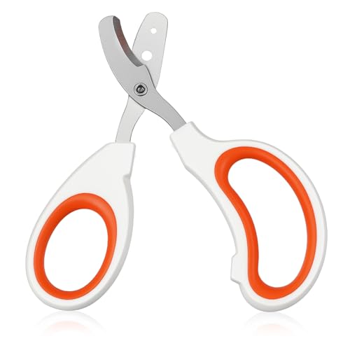 Bearded Dragon Nail Clippers, Stainless Steel Pet Nail Clippers, Reptile Nail Clippers Grooming Tool for Bearded Dragons, Small Animals, Reptile Care Supplies