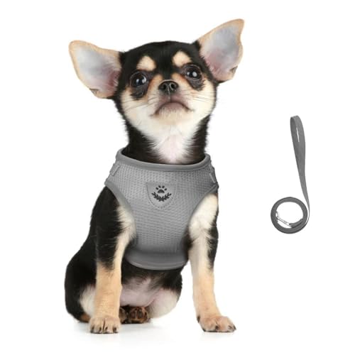 FEimaX Dog Harness and Leash Set for Walking, Soft Mesh Adjustable Easy Control Lightweight Cat Vest Harnesses with Reflective Strips, Escape Proof Small Dogs Cats Vests (Grey, Small) - color: Grey, size: Small