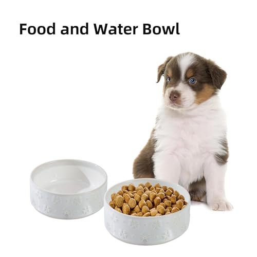 Havniva Dog Bowls Ceramic, Dog Food and Water Bowl Set | 5.1inch Dog Food Bowl, Dog Water Bowl, Food-Grade Ceramic Non-Slip Rubber Base, Dishwasher Safe, 2 Pack, Small Dogs, Puppy - color: 2 Bowls-Arctic White, size: 1.6CUPS