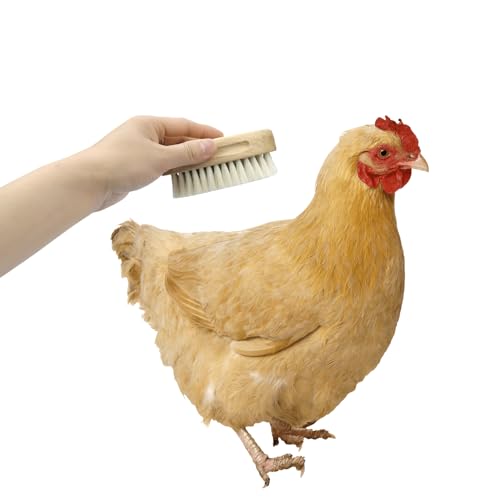 Chicken Feather Brush for Chicken Care Grooming Chicken Hen Accessories Soft Small Bristle Brush Rabbit Puppies Kittens