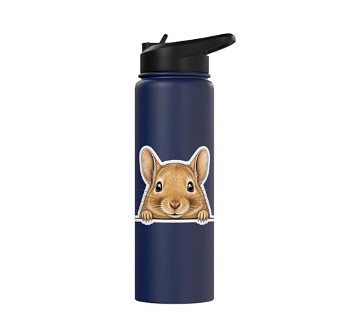 Peeking Degu Stainless Steel Insulated Water Bottle - color: Navy Blue
