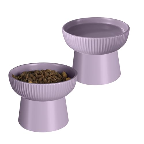 Ceramic Elevated Cat Bowls-Water Bowl, 15° Tilted Design, Anti-Vomiting & Spine Protection, Prevent Whisker Fatigue for Kittens to Adult Cats and Small Dogs (Purple-Elevated Cat Bowls-2) - color: Purple-Elevated Cat Bowls-2