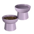 Ceramic Elevated Cat Bowls-Water Bowl, 15° Tilted Design, Anti-Vomiting & Spine Protection, Prevent Whisker Fatigue for Kittens to Adult Cats and Small Dogs (Purple-Elevated Cat Bowls-2) - color: Purple-Elevated Cat Bowls-2