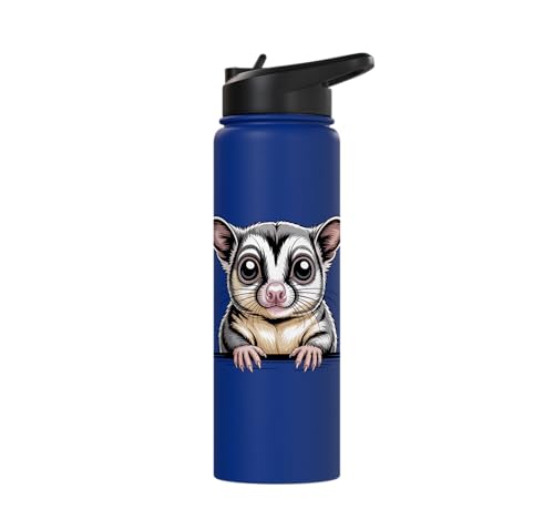 Sugar Glider Cute Peeking Marsupial Funny Animals Stainless Steel Insulated Water Bottle - color: Royal Blue