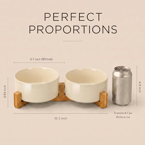 SPUNKYJUNKY Ceramic Dog and Cat Bowl Set with Wooden Stand, Modern Cute Weighted Food Water Set for Small Size Dogs (13.5OZ) & Medium Sized Dogs (28.7OZ) & Cats (3.6 Cups, 2 × Beige) - color: Beige × 2, size: 3.6 cups