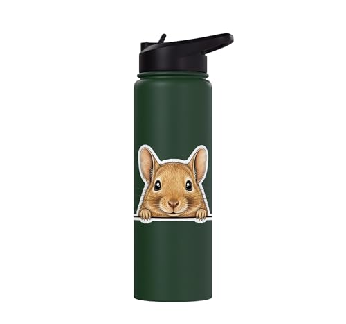 Peeking Degu Stainless Steel Insulated Water Bottle - color: Dark Green
