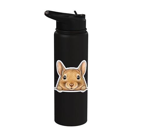 Peeking Degu Stainless Steel Insulated Water Bottle - color: Black