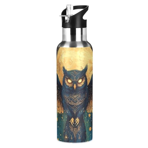 Owl Moon Moth Moon Water Bottle Kids Stainless Steel Water Bottle with Straw Lid, Leak Proof Boys Girls Insulated Tumbler Cup for School 20 oz - color: Multi21