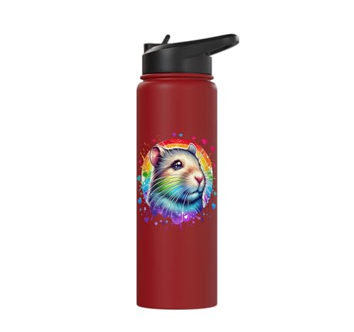 Degu Stainless Steel Insulated Water Bottle - color: Red