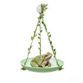 Frog Swing Toys, Frog Habitat Platform, Tank Aquarium Terrarium Decoration Accessories Suitable for Amphibians Frogs Geckos Hermit Crabs Hamsters Guinea Pigs Parrots Lizards.