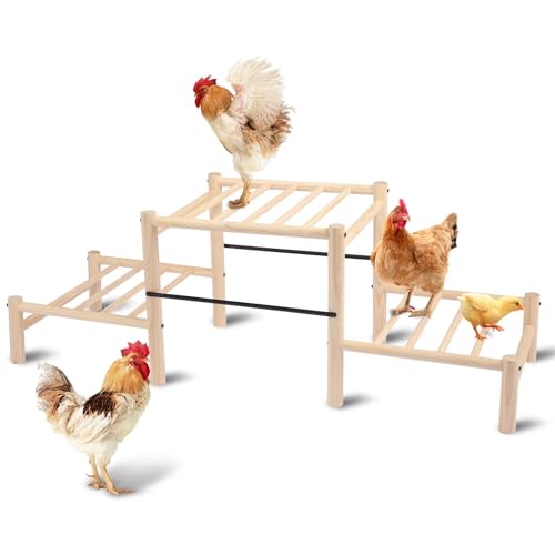 Chicken Perch, Natural Beech Wood Roosting Ladder for Poultry | Chick Perch for Strong Wooden Roosting Bar, for Poultry, Jungle Gym & Toys