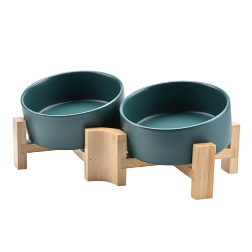 SPUNKYJUNKY 15° Slanted Ceramic Dog and Cat Bowl with Wooden Stand, Tilted Bulldog Food and Water Bowl No Slip Non-Spill for Cats Medium Dogs Big Face Pets 13.5 OZ (1.7 Cups, Green × 2) - color: Green, size: 1.7 CUPS × 2