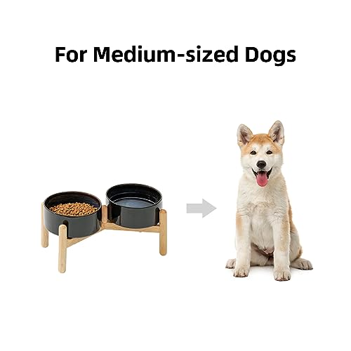Havniva Elevated Dog Bowls Ceramic Dog Bowls with Stand, Dog Food Bowl | 6.1” Raised Dog Bowls with Non-Slip Wood Stand, Dog Food and Water Bowl Set, Double Dog Feeding Bowls for Small & Medium Dogs - color: 2 Bowls+Stand - Starry Sky, size: 6.1inch