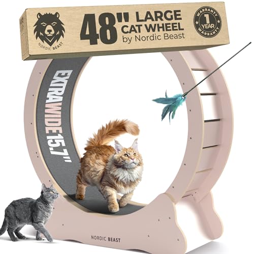 Pink 48'' XL Cat Wheel – Safe, Quiet & Stable Exercise Wheel for Large Indoor Cats up to 45 lbs – 15.7'' Extra-Wide Surface Fits 2 Cats Side by Side & Prevents Wobbling, 1-Year Warranty - color: Pink