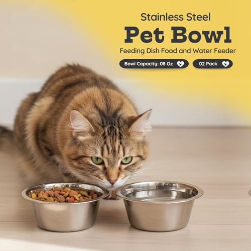 2 Pack Shallow Stainless Steel Cat & Dog Bowls, 1 Cup (8 oz) Each, Heavy Duty Small Pet Only Puppy Kitten & Birds Feeder Replacement Bowl, Rust Resistant Metal Cat Dishes for Food & Water - size: 1 Cup (8 oz)