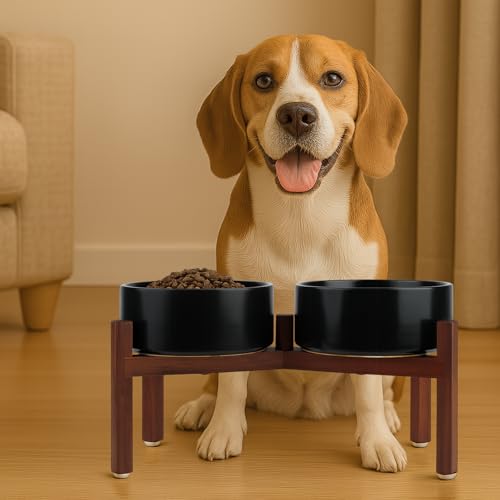 SPUNKYJUNKY Raised Ceramic Dog Bowls Set with Non-Slip Acacia Wood Stand for Medium Sized Dog(42.27 OZ, Black) - color: Black, size: 42.27 Oz