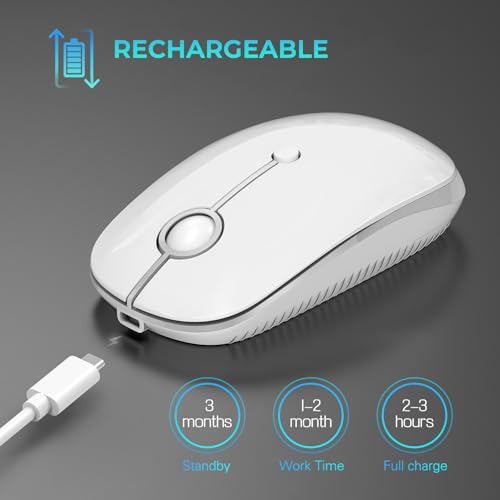 VssoPlor Type C Wireless Mouse, USB C MacBook Wireless Mouse, White Silver | Dual Mode Cordless Mice with USB and Type C Receiver Compatible with PC, Laptop, MacBook and All USB C Devices - color: White and Silver