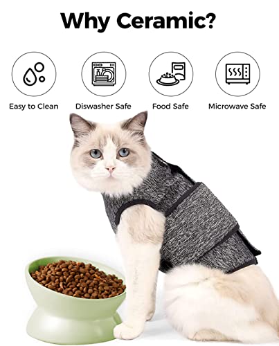 LoeJan Elevated Cat Food Bowl, 5 Oz Ceramic Raised and Tilted Water Bowl, Anti Vomiting and Protect Pets' Spines Dishes for Small Dog, Fat Faced Cat, Kitten (Green, 1 Pack) - color: Green