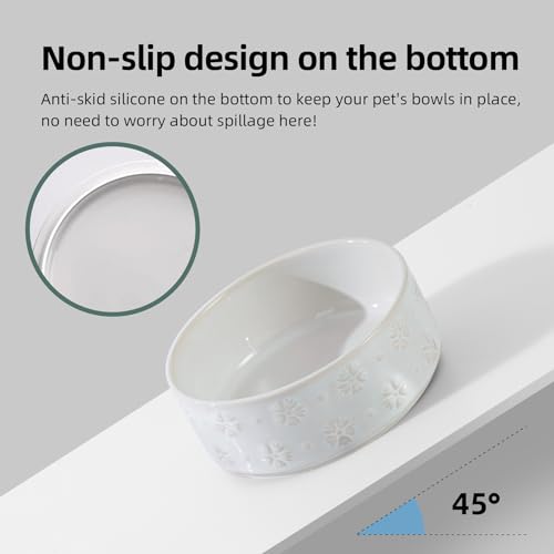 Havniva Dog Bowls Ceramic, Dog Food and Water Bowl Set | 5.1inch Dog Food Bowl, Dog Water Bowl, Food-Grade Ceramic Non-Slip Rubber Base, Dishwasher Safe, 2 Pack, Small Dogs, Puppy - color: 2 Bowls-Arctic White, size: 1.6CUPS