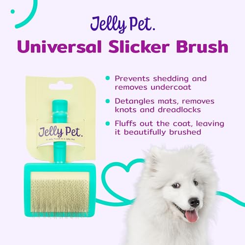 Jelly Pet Universal Slicker Brush for Dogs, Grooming Brush, Remove Tangles and Dead Undercoat, Tuffer Than Tangles, Doodle Huskie Sheep Dog Golden Retriever German Shepherd, Firm Pins, Teal, Large - color: Teal, size: Large (3 in x 4 in) - Pins (Firm)
