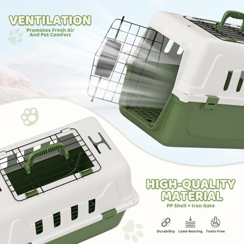Magshion 18 Inch Hard-Sided Dog Cat Carrier, Green | Top and Front Door Access, Plastic Dog Kennel for Longer Traveling, Durable Handle and 4 Sides Ventilation, For Pet Up 20 lbs - size: 18.0"L x 10.5"W x 12.0"H