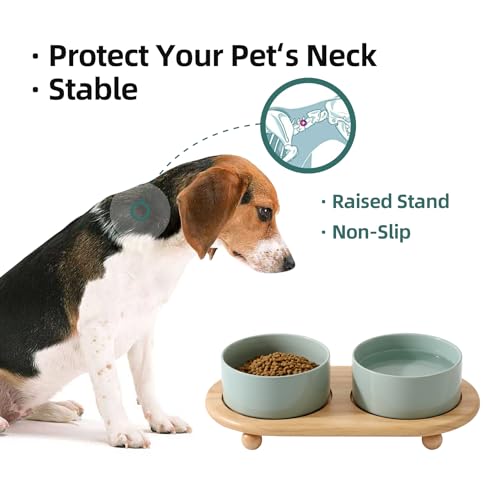 Havniva Raised Cat Bowl, 6.1” Elevated Ceramic Cat Food and Water Bowl Set | Cat Bowls Elevated, Whisker Friendly Cat Bowl, Non-Slip Wood Stand, Food-Grade Ceramic, Wide Opening, Dishwasher Safe - color: 2 x Bowl + Stand - Light Green, size: 6.1inch