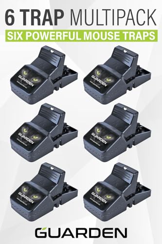 Mouse Traps Indoor Small Size (6 Pack) Catch Mice, and Voles Fast with These Simple to Bait, Safe to Set, Non Electric Rodent Trap for Home, Yard, and Barn (Six Mouse Traps) - size: 6 Pack Mouse Traps