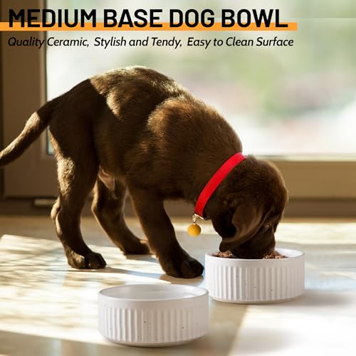 Non-Slip Ceramic Dog Bowls, 5" Dog Food and Water Bowl Set with Silicone Base, 16oz/2cups Weighted Flip-Proof Pet Feeding Bowl for Small Dogs and Cats (Small, White) - color: White, size: 2 Cups